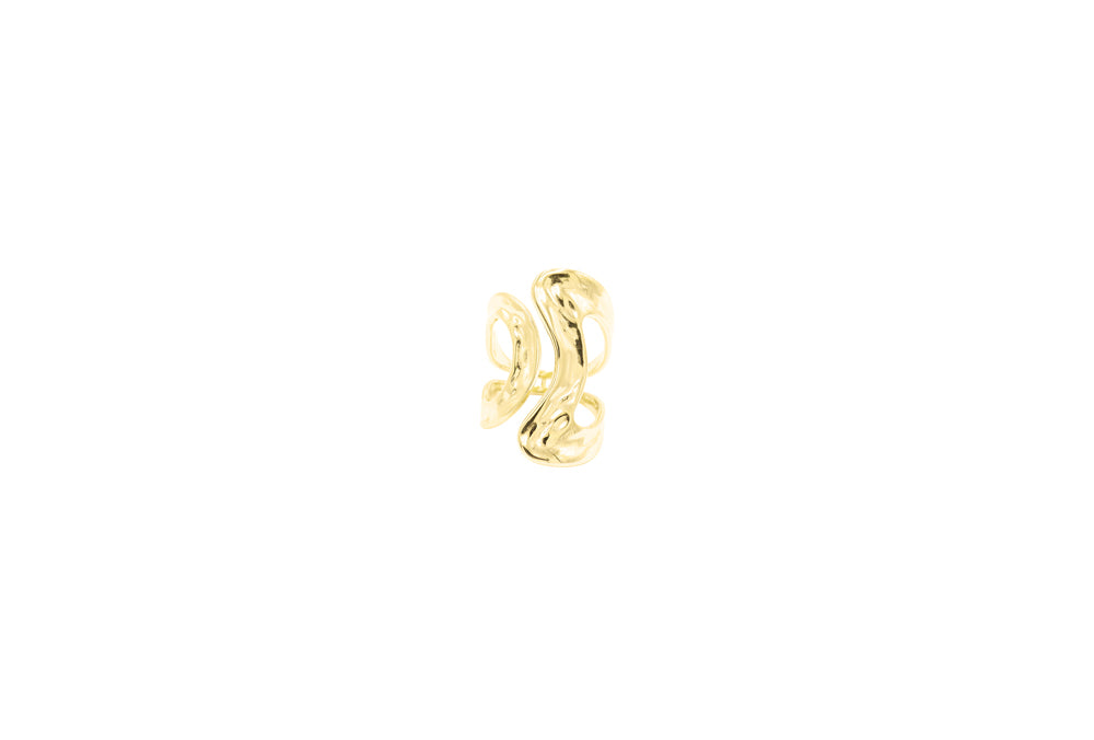 ANILLO BELT GOLD