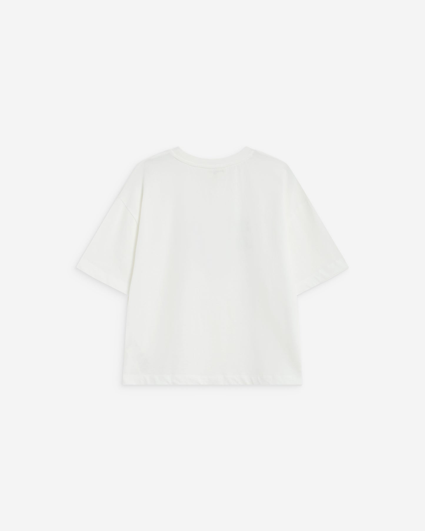 CAMISETA ANIS CRUDO