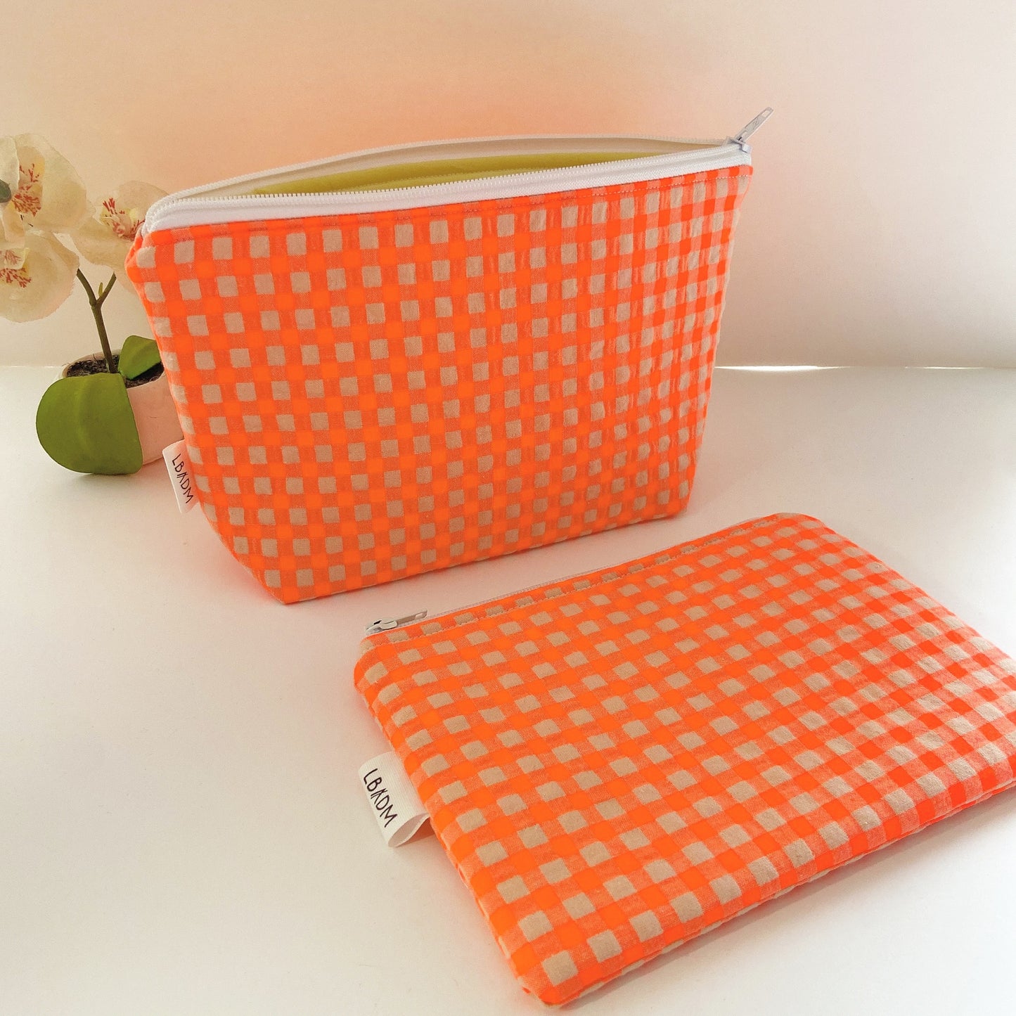 MONEDERO VICHY